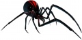 Black Widow Spider concept art.jpg