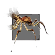Juvenile Cave Spider.png