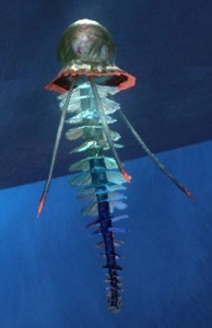 Arctic Jellyfish.jpg