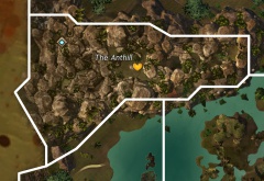 The Anthill map.jpg