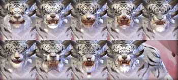 Charr male faces.png