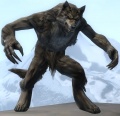 Becomethewolf.jpg