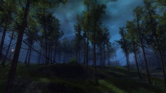 Borealis Forest.jpg