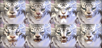 Charr female faces.png