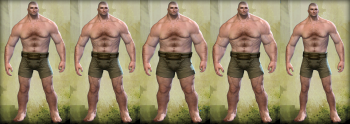 Norn male physique.png