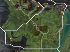 Borealis Forest map.jpg