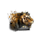 Juvenile Tiger.png